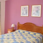 El Capistrano Sur Hotel Nerja