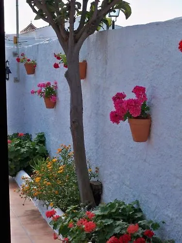 Отель El Capistrano Sur Нерха