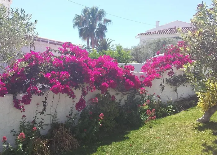 El Capistrano Sur 2* Нерха